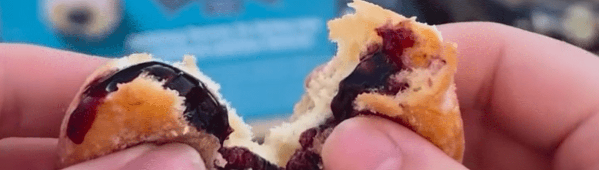 blueberry-mini-beignet-festival-exclusive-hero